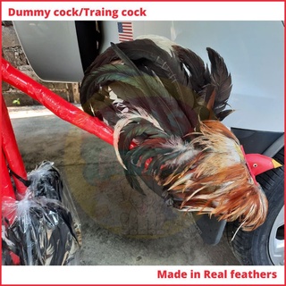 Dummy Trainor Cock/ Training Cock ”Made in real Feathers” #2