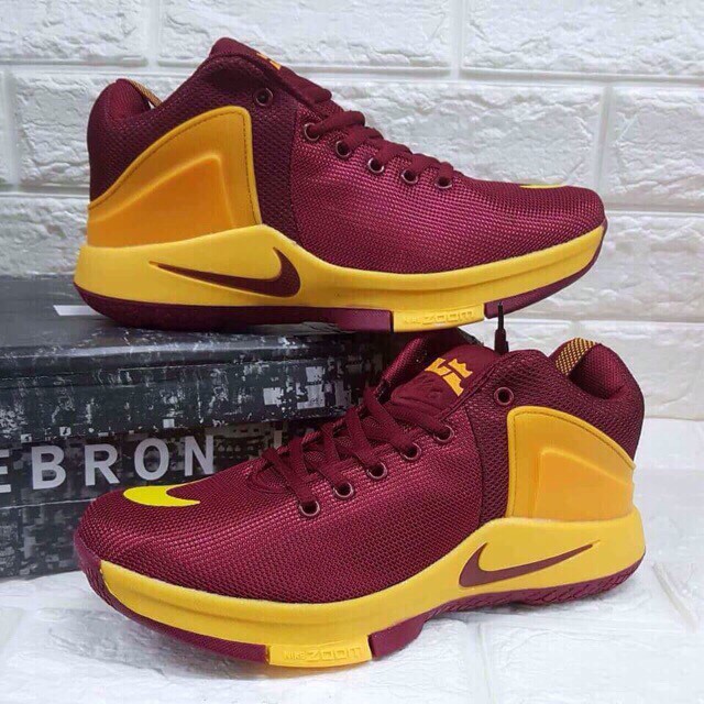 nike lebron zoom witness