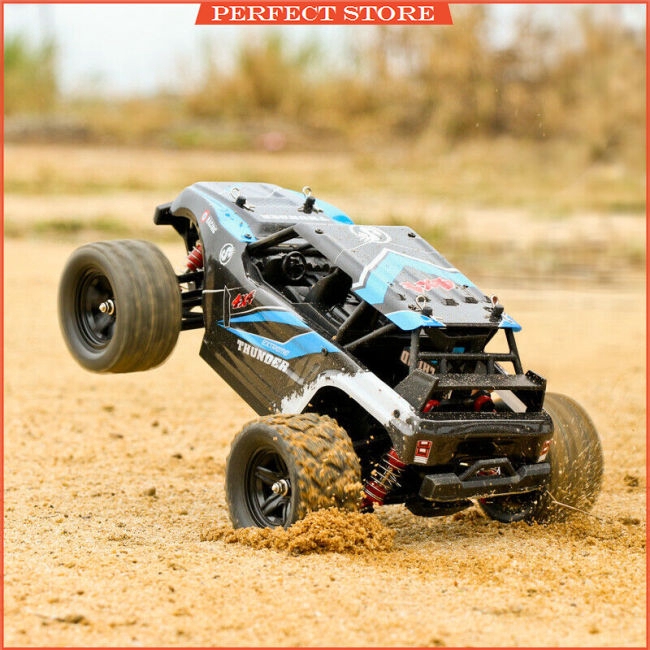 large scale rc cars