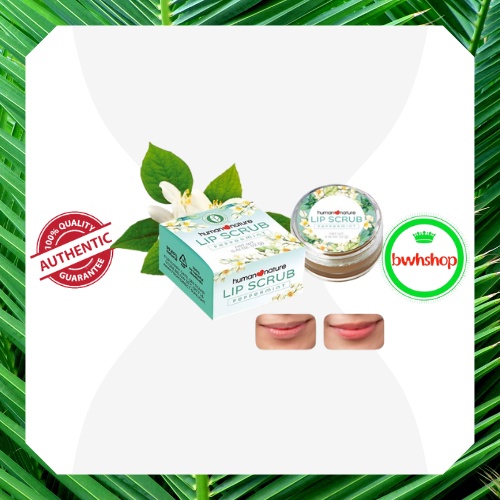Human Nature Lip Scrub 12g Shopee Philippines
