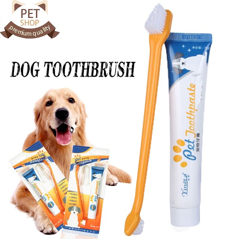 Pet Dog Cat Toothbrush Toothpaste set 4pcs Shopee Philippines