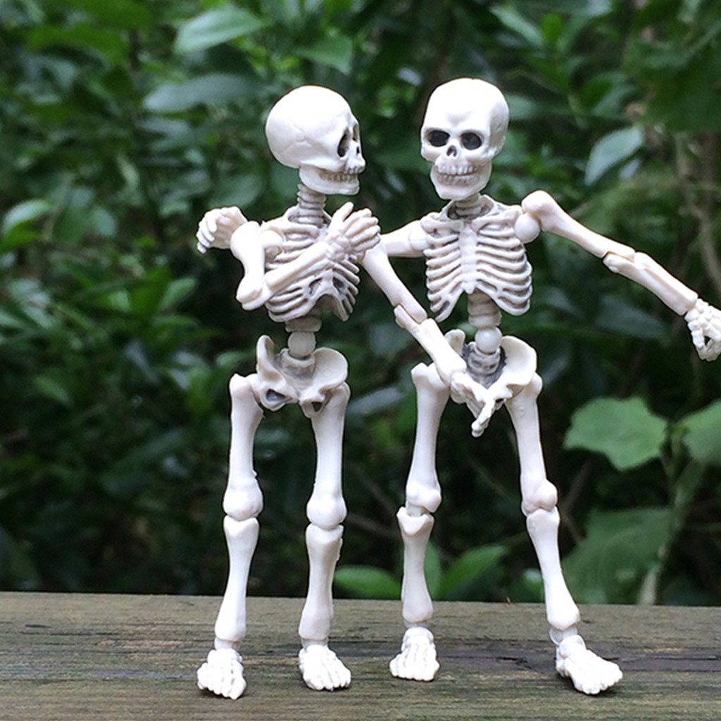 Movable Mr. Bones Skeleton Human Model 