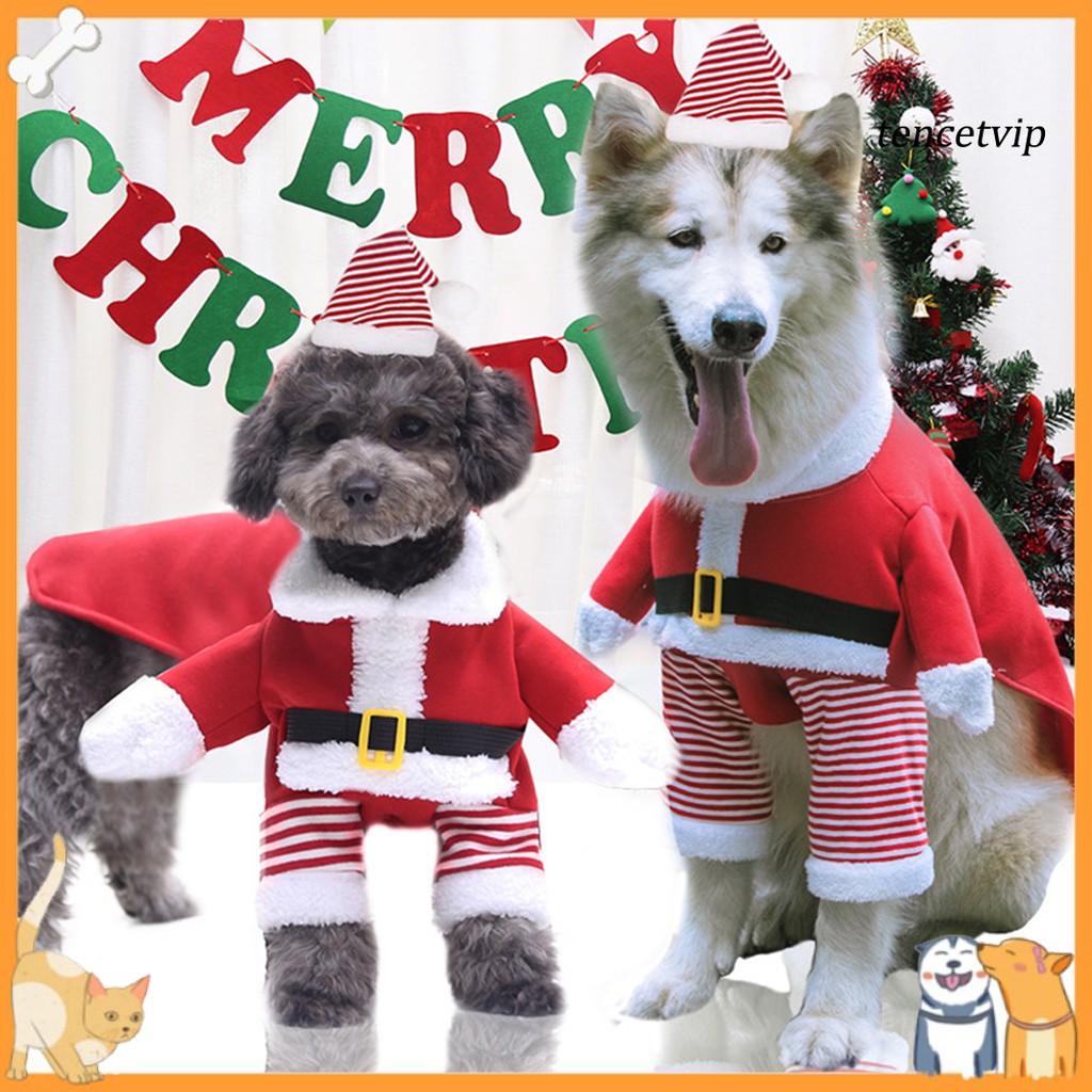 large dogs christmas outfits