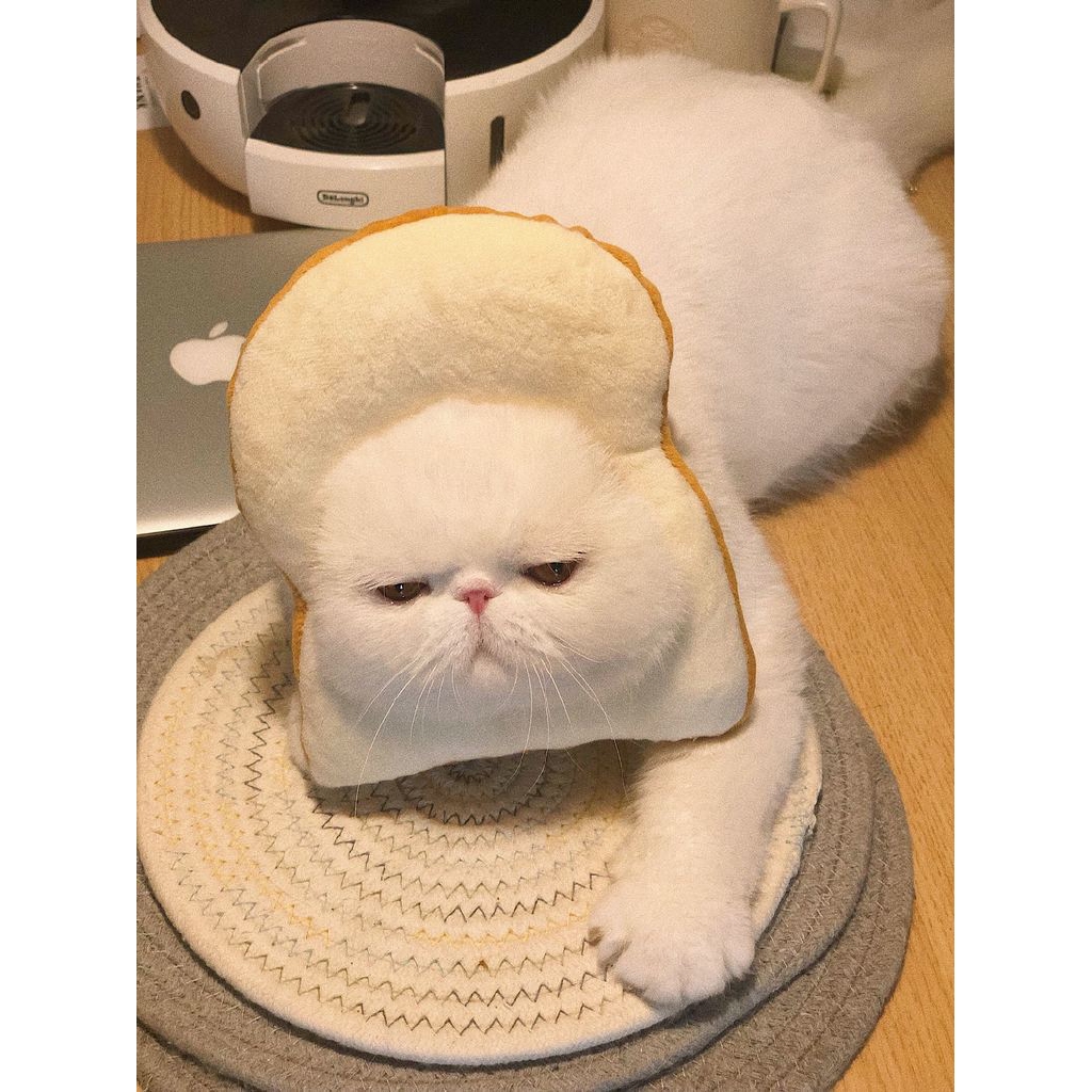 cat bread