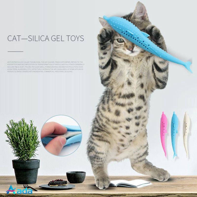 cat dental toy