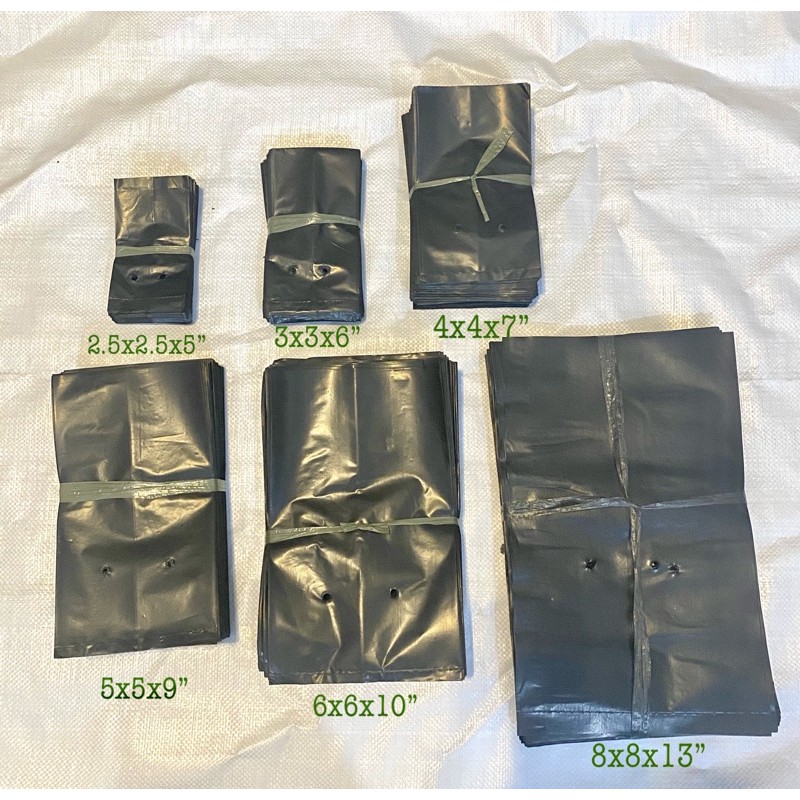 Seedling Bag / many Sizes / GUSSETED Type / approx 100pcs Propagation
