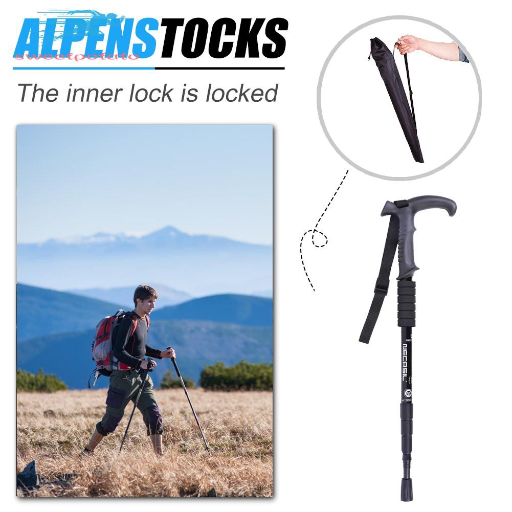 necasil walking stick