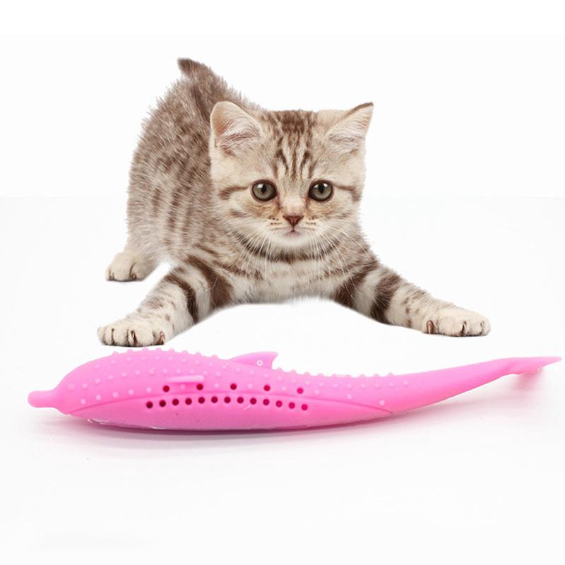 Good Teething Toys For Cats Wow Blog