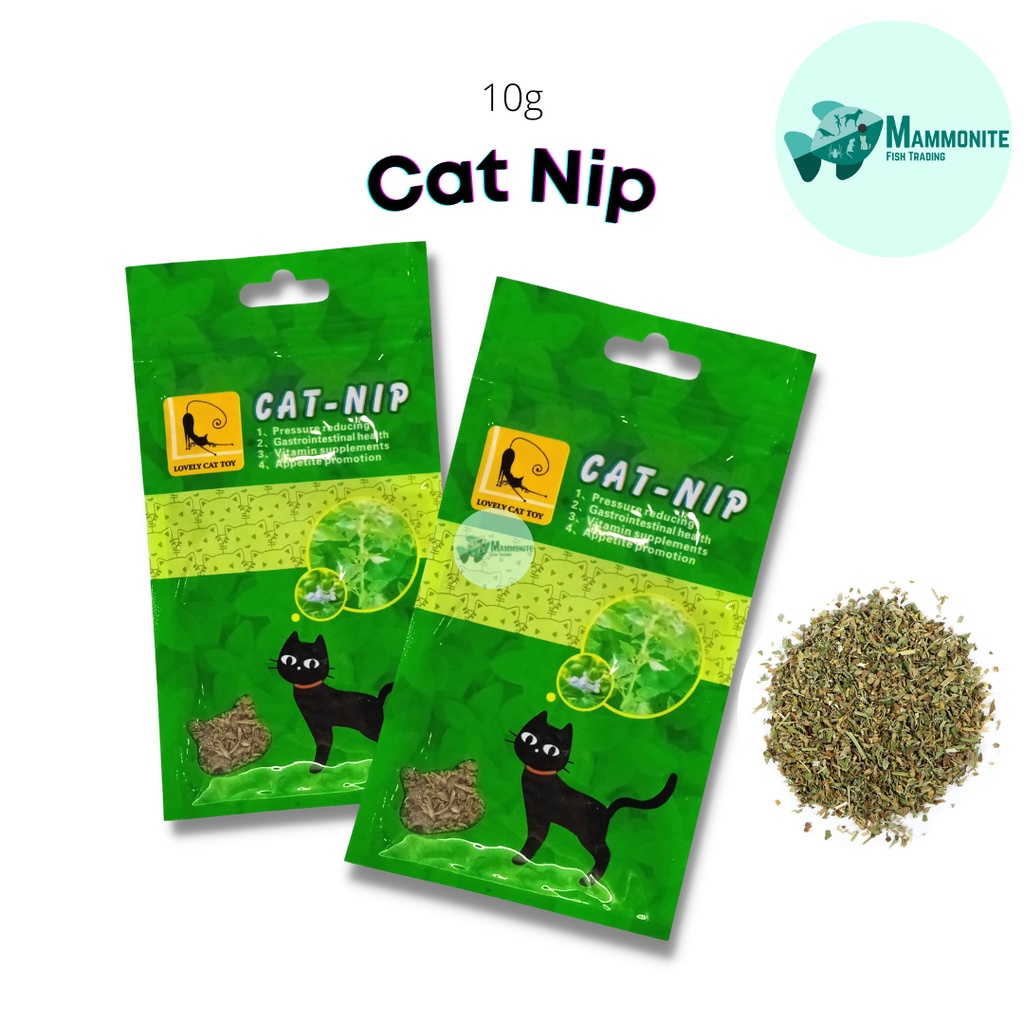 CATNIP 100 Natural Catnip for Cats 10 Grams Shopee Philippines