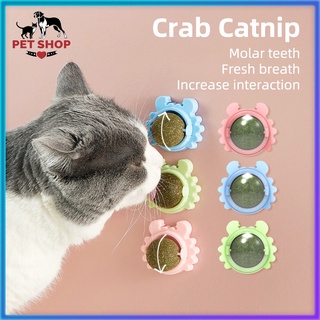 Catnip cat mint ball cat snack treats toy ball