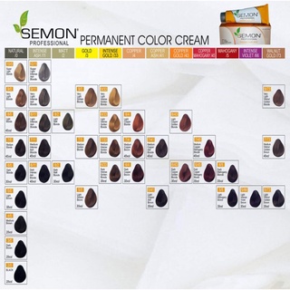 semon coloring chart 64shadesavailable colors shopee philippines