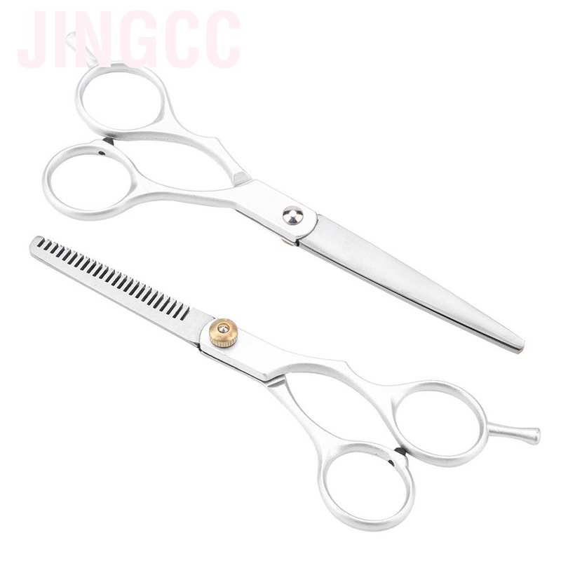 best professional salon scissors