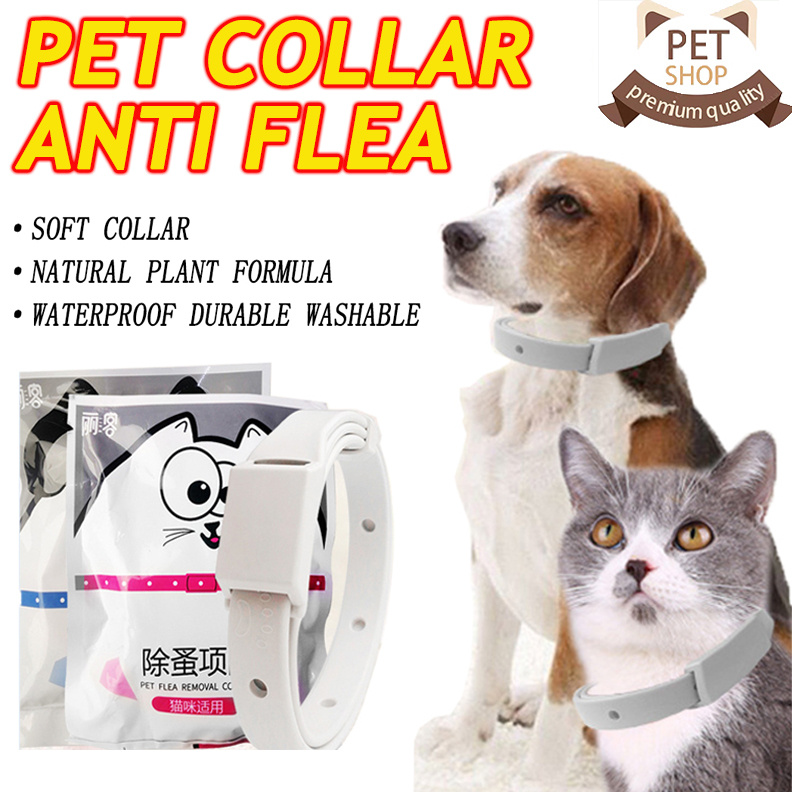 Dog Collar Cat Collar Pet Collar Anti Tick Mite Flea Collar for Pet