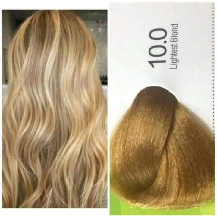 Bremod performance haircolor 10/0 (lightest blond) only 100ml Shopee