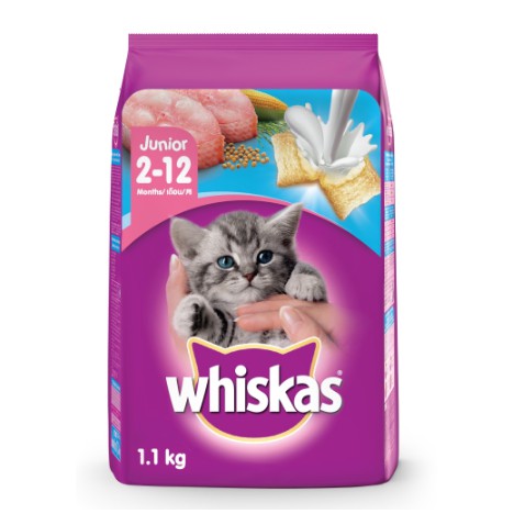 Luchtpost Ernest Shackleton Uitgraving Whiskas Junior 2-12 months old 1.1kg Ocean Fish Flavor Milk Dry Cat Food |  Shopee Philippines