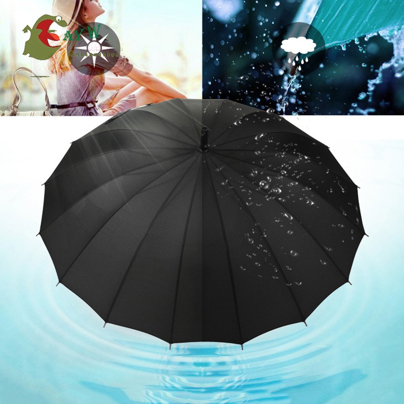 sun rain umbrella