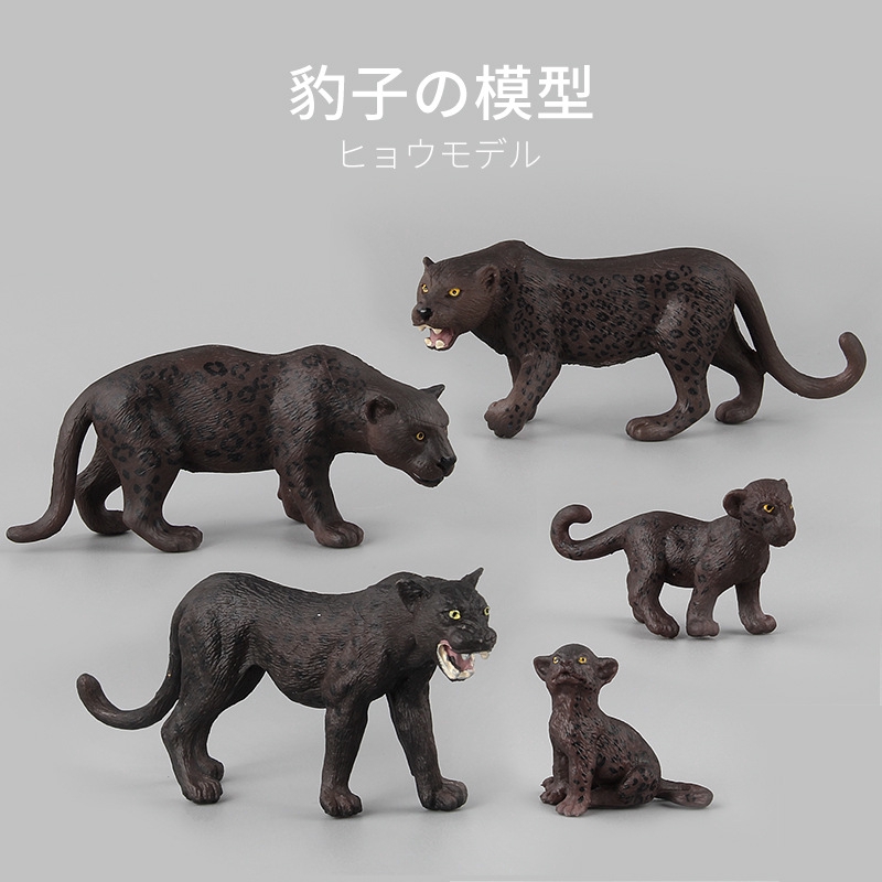 animal model kits