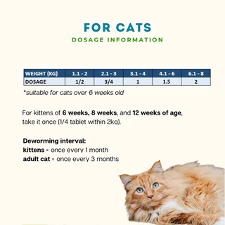 Drontal Cat 1 Box of 24 Delicious Deworming Tablets Cat Deworming Tablets #3