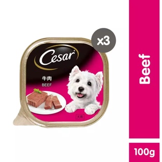CESAR® Beef Wet Dog Food Pack of 3(100g)
