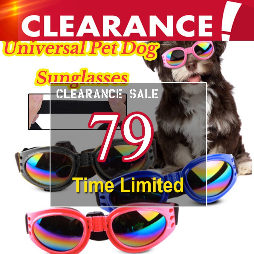 quality sunglasses for sale