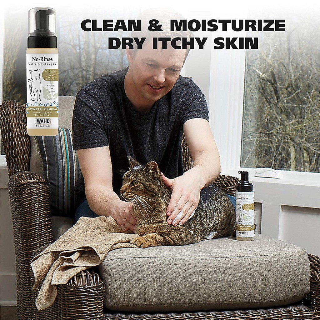 wahl cat shampoo