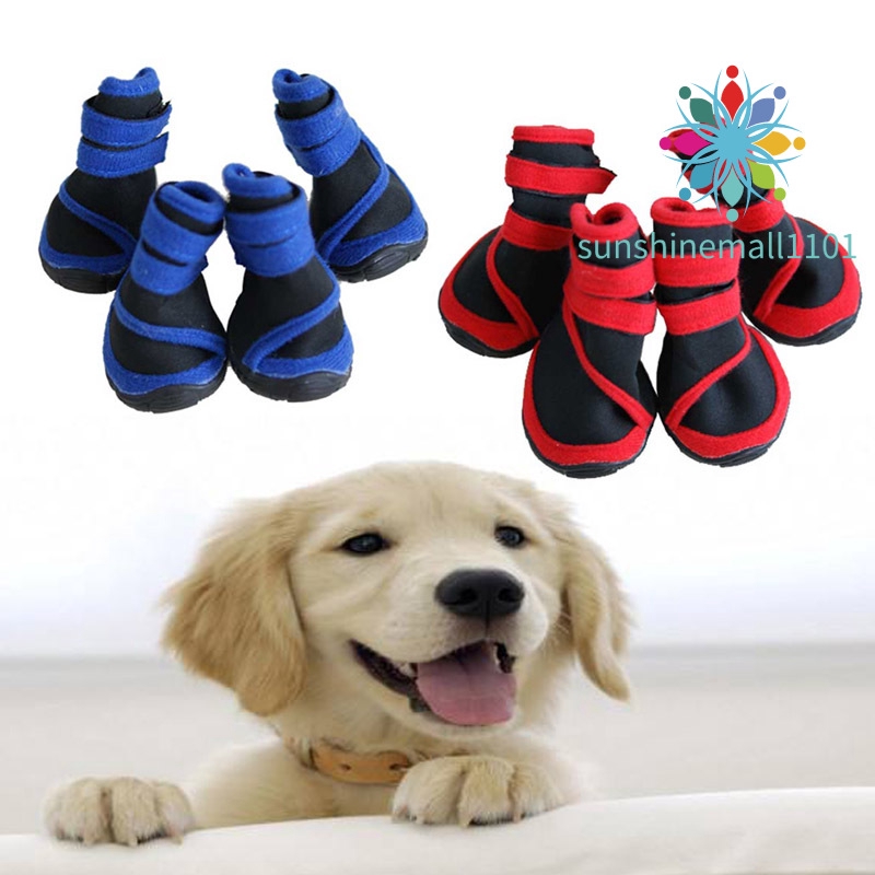 large dog rain boots
