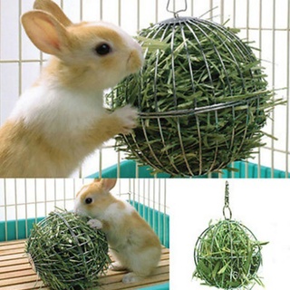 DRYj Creative Feeding Grass Brief Dispense Exercise Hanging Hay Funny Iron Ball Guinea Pig Hamster R