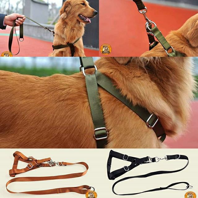 large breed dog leash