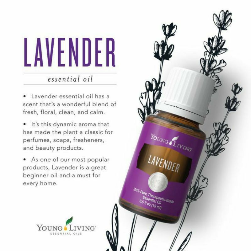 lavender-essential-oil-5ml-shopee-philippines