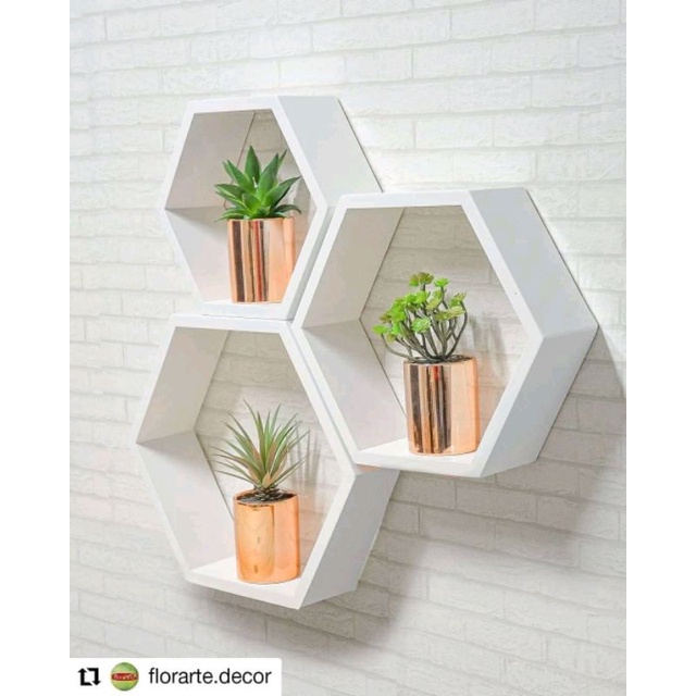 3PCS HEXAGON WALL SHELVES Shopee Philippines
