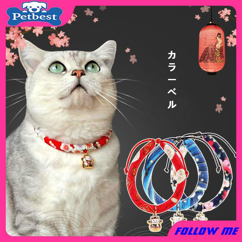 cat collar accessories