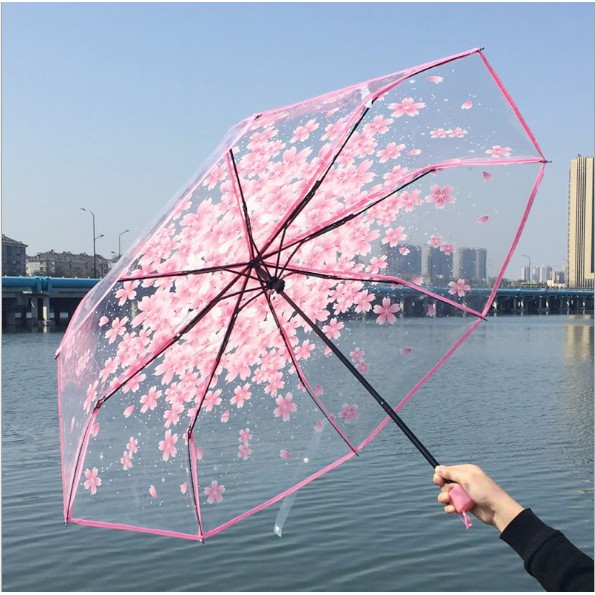 transparent rain umbrella