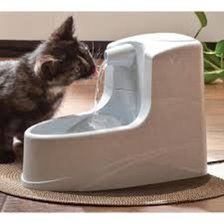 petsafe dog water fountain