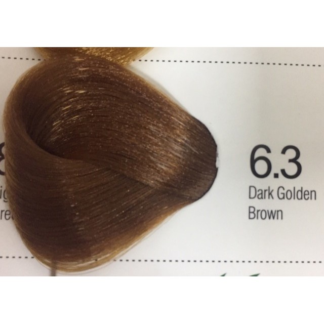 Bremod Haircolor 6.3 (Dark golden brown) Shopee Philippines