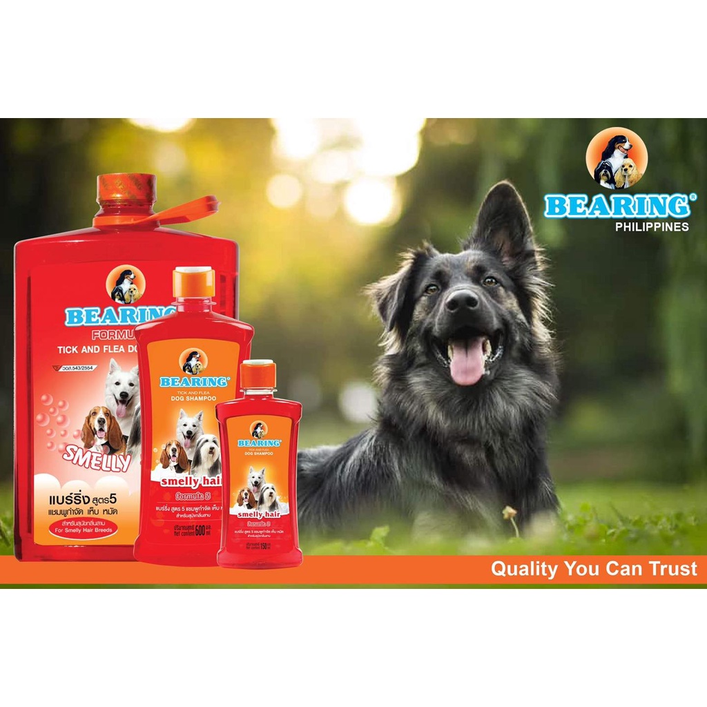 Does Regular Dog Shampoo Kill Fleas