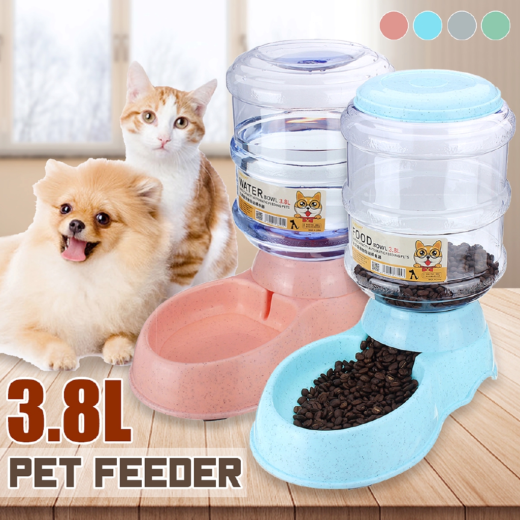 automatic food and water dispenser for cats