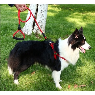 Pet traction rope with collar and chest strap traction rope