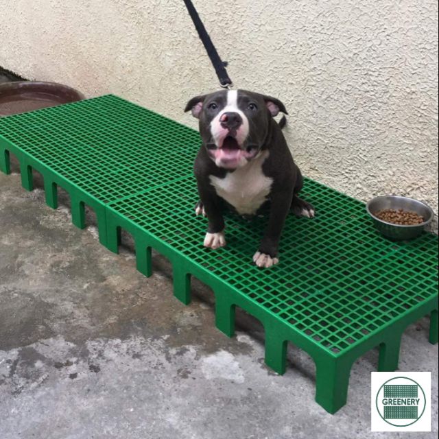 dog plastic matting size