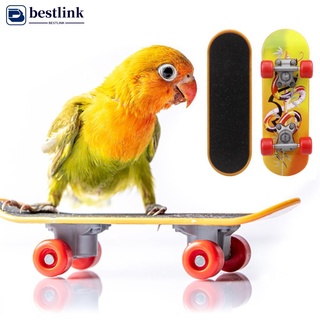 BESTLINK 1Pc Bird Parrot Intelligence Toys Mini Training Skateboard For Parakeet Growth Toy Pet Bird
