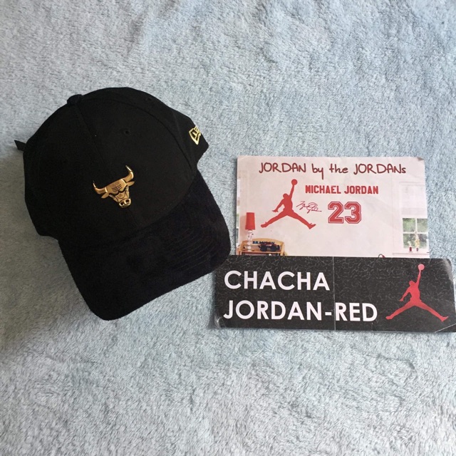 bulls dad hat