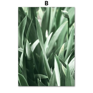 Succulent Plant Monstera Olive Leaf Girl Poster And Print Canvas Painting Nordic Wall Pictures For Home Living Room Decor No Frame #9