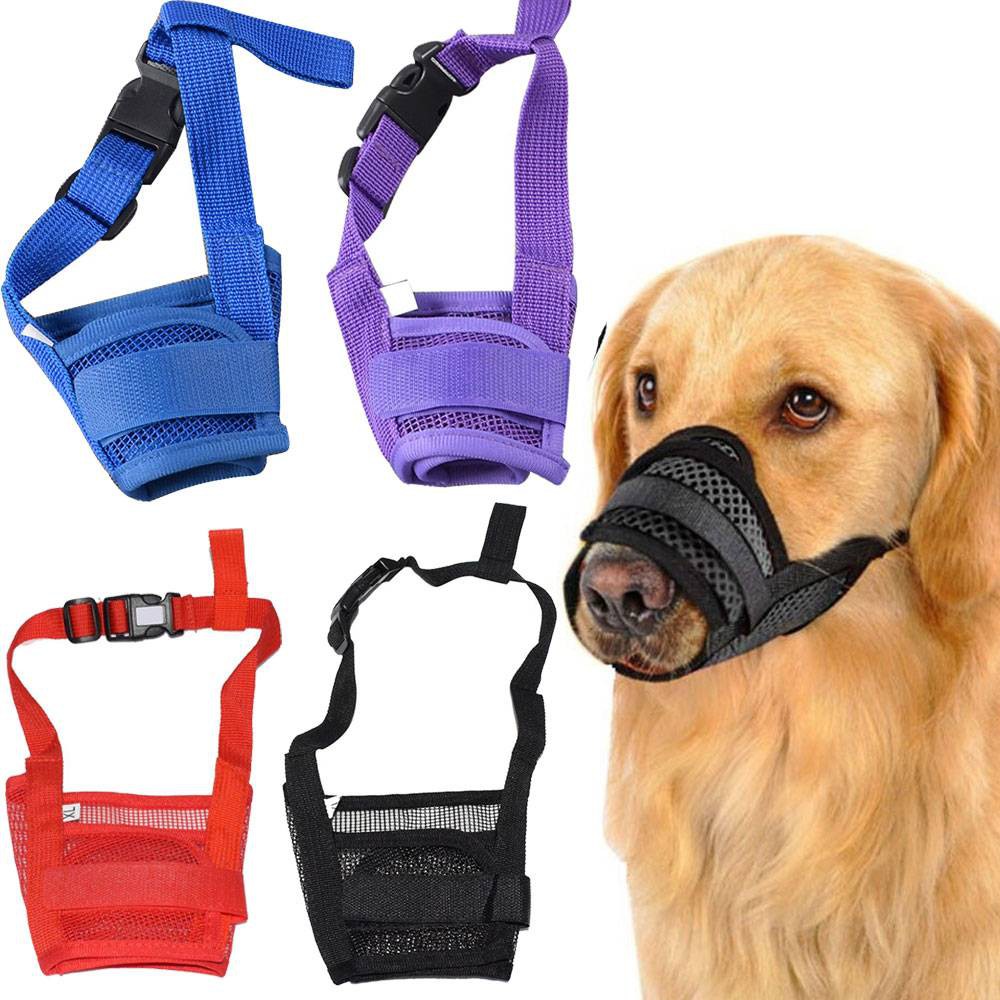 muzzle to stop dog from chewing