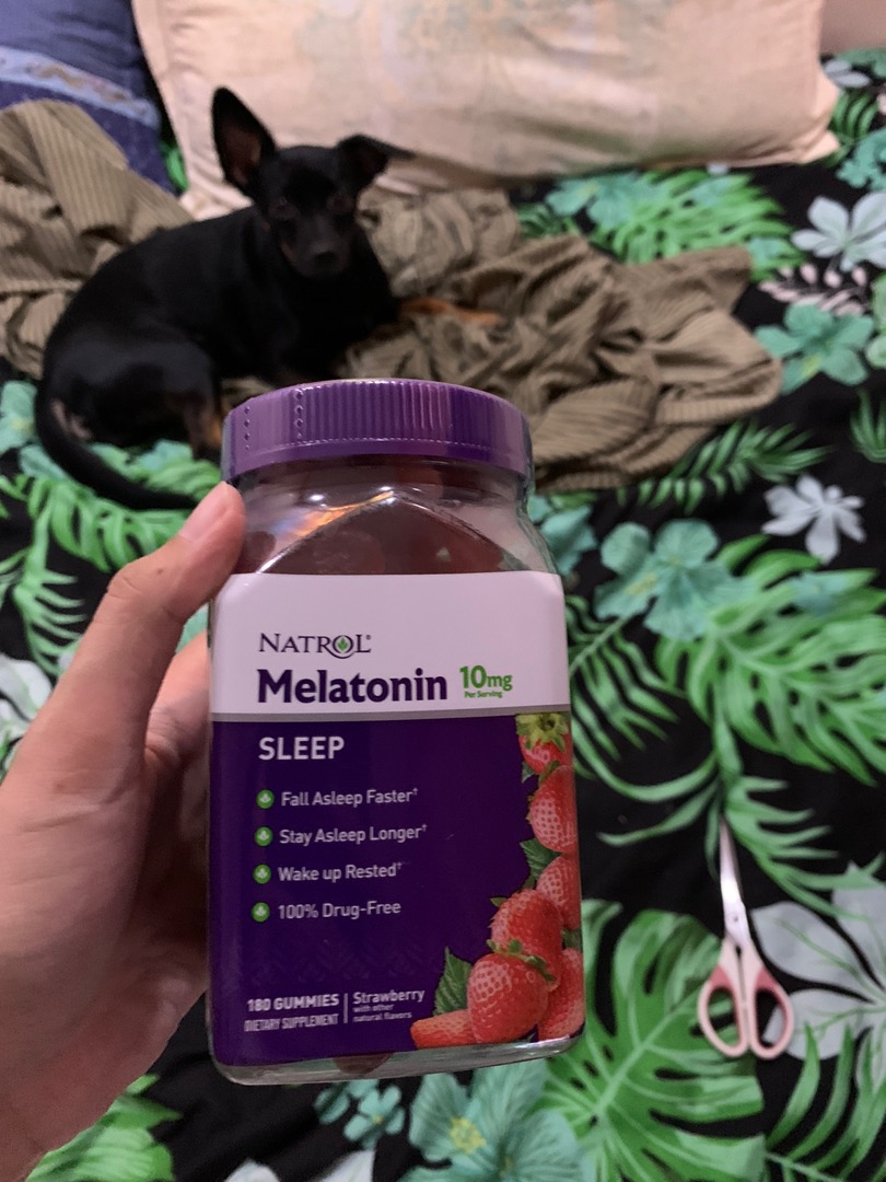 can you give a dog melatonin gummies