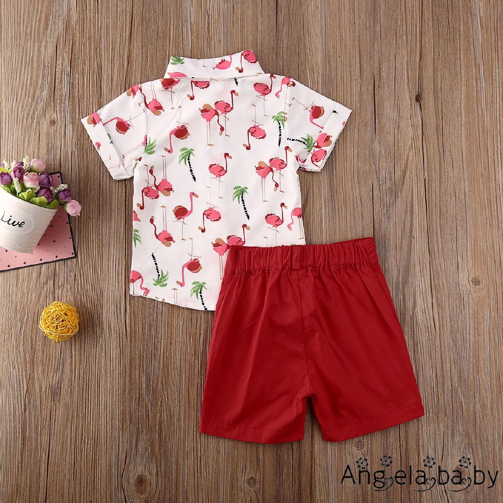 baby boy flamingo outfit