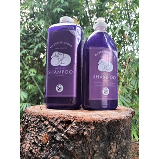 【Hot Stock】Madre de Cacao Shampoo with Conditioner (2in1)