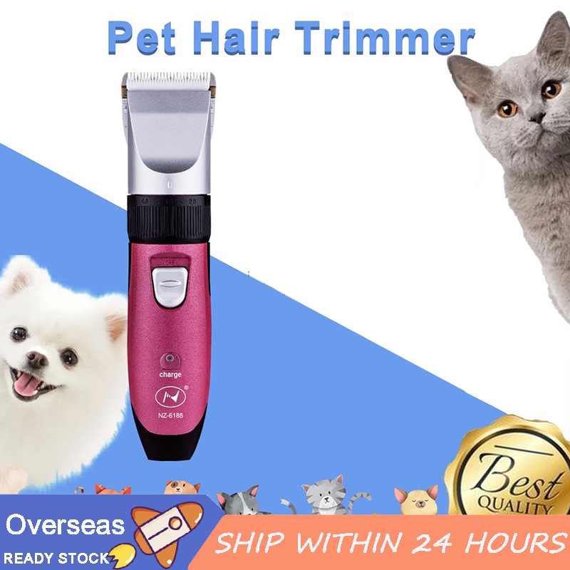 pet grooming hours