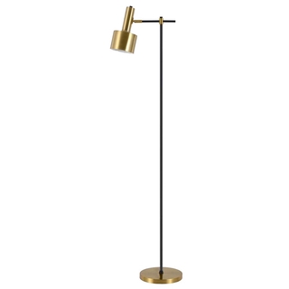 bronze floor lamp with reading light