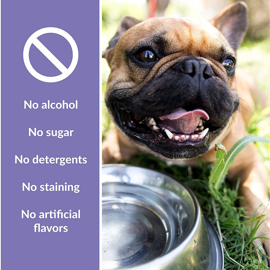 dental fresh advanced plaque & tartar water additive for dogs