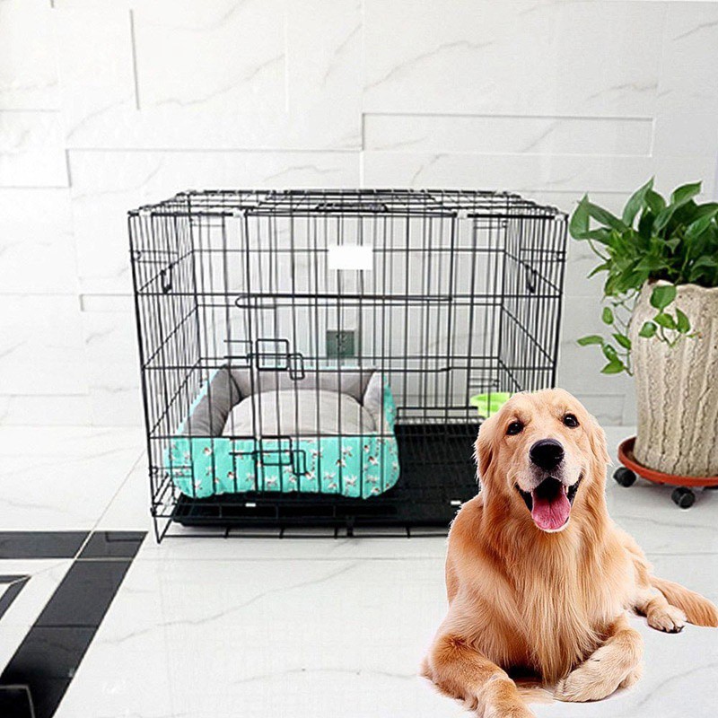 fold up dog kennel