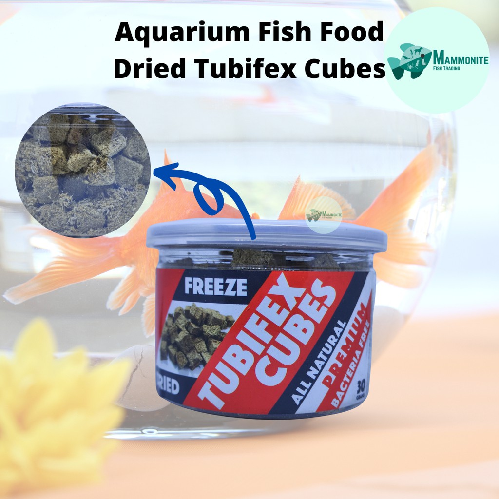 Aquarium Fish Food Freeze Dried Tubifex Cubes 30 Grams Shopee Philippines